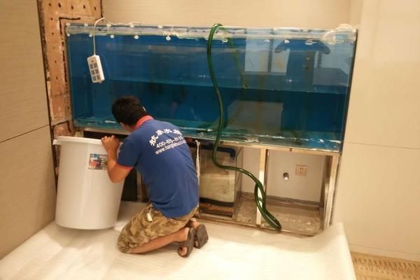 大魚缸清洗麻煩嗎:如何清洗大魚缸 魚缸百科 第4張 大魚缸清洗麻煩嗎:如何清洗大魚缸 大魚缸清洗麻煩嗎:如何清洗大魚缸 魚缸百科 第4張