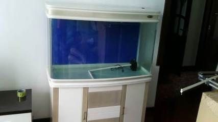 大魚缸哪里買比較好：在購買大魚缸時需要注意以下幾點，可以考慮以下幾點