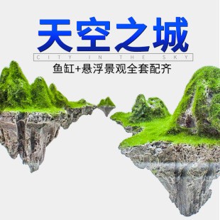 紅龍魚年齡怎么看圖解（紅龍魚年齡怎么看圖解視頻）