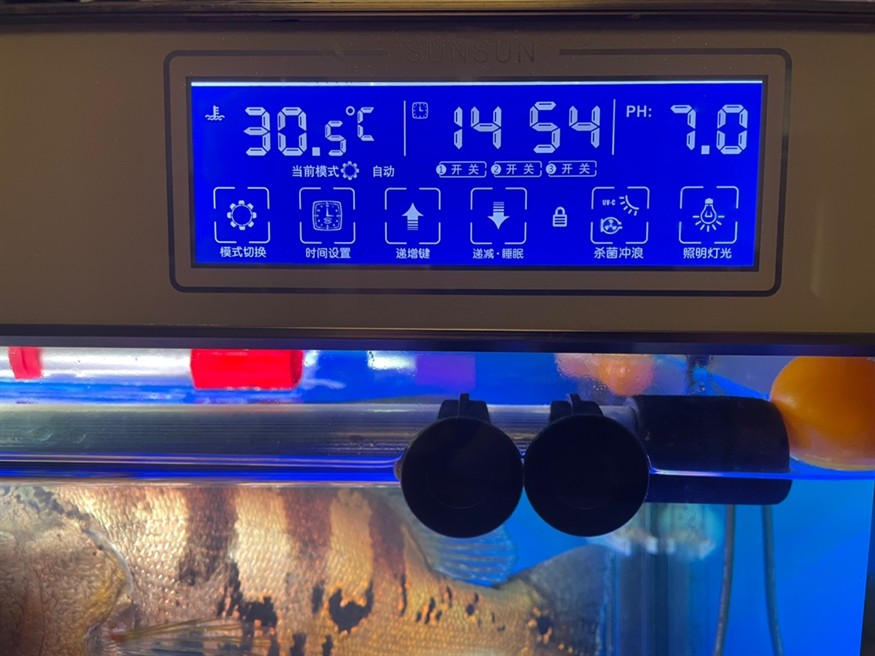 專業治理水族箱跌酸，無效全額退款