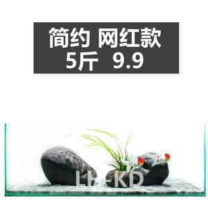 慈鯛魚缸造景技巧視頻：三湖慈鯛魚缸造景