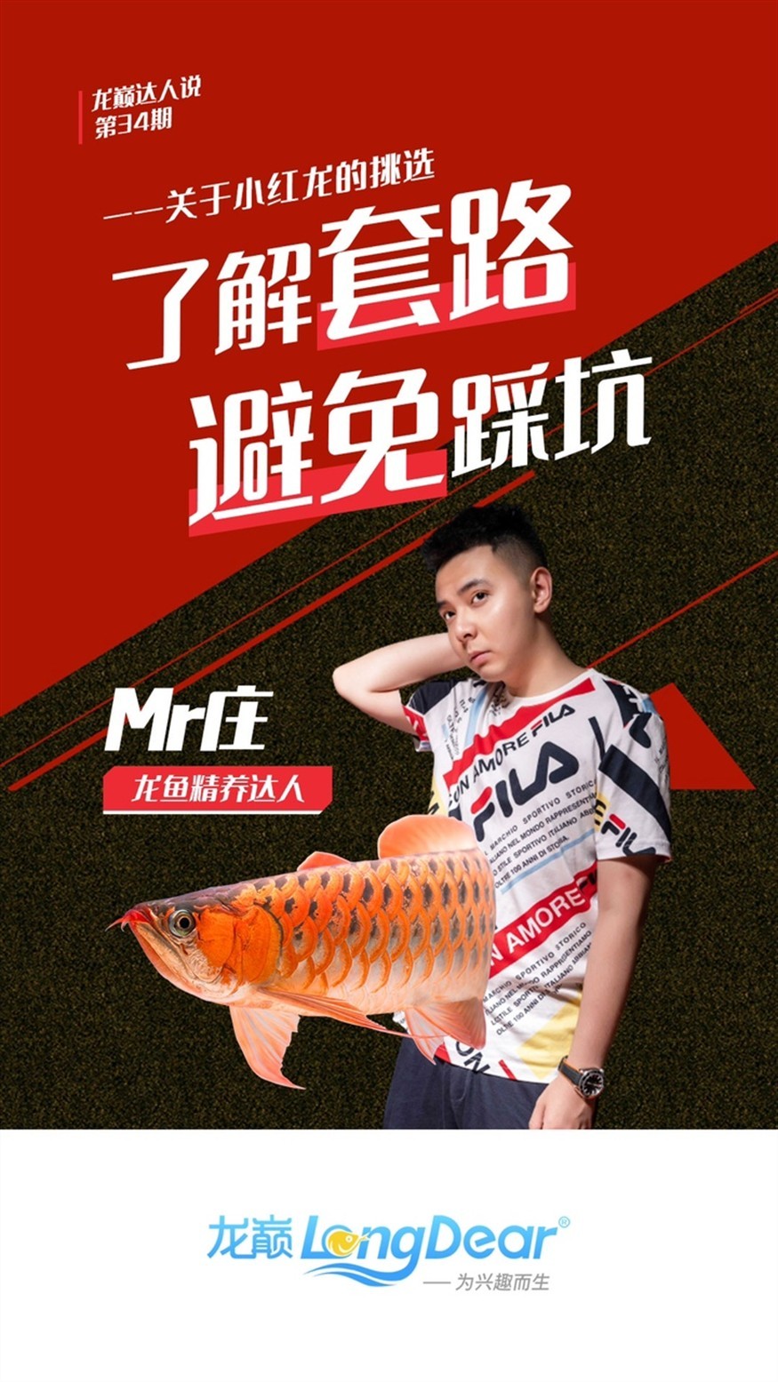 搬家了，沒地方養(yǎng)了