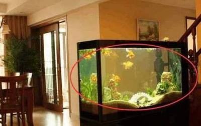 西安市漢長城保護區魚樂無限水族店（魚樂海洋西安店）