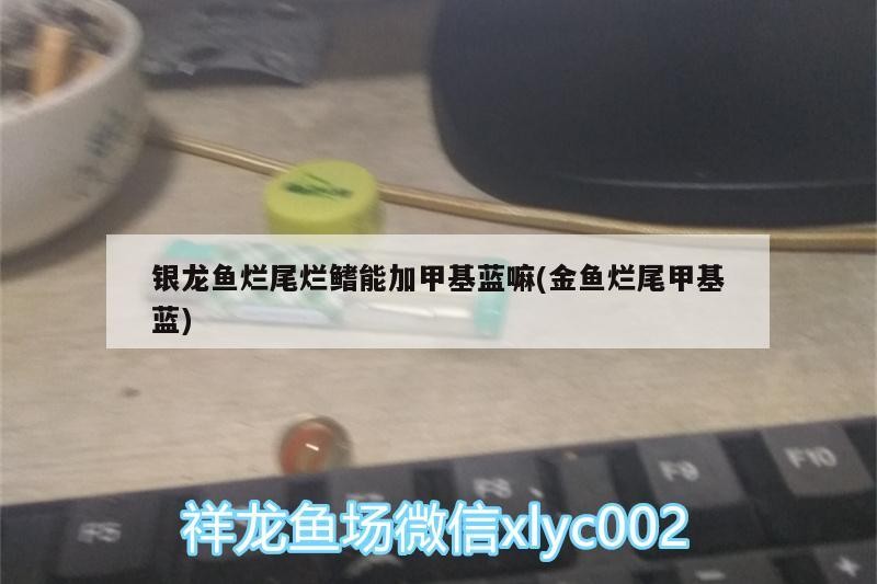魚缸用增氧泵價格是多少:魚缸增氧機-xtrac增氧機-xtrac增氧機 銀龍魚爛尾爛鰭能加甲基藍嘛(金魚爛尾甲基藍) 銀龍魚百科 銀龍魚爛尾爛鰭能加甲基藍嘛(金魚爛尾甲基藍) 銀龍魚爛尾爛鰭能加甲基藍嘛(金魚爛尾甲基藍) 銀龍魚百科