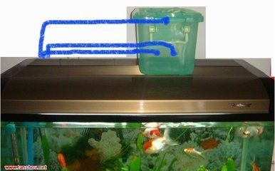 帶蓋子的魚缸改過濾器好嗎：帶蓋子的魚缸可以改造成過濾器嗎？
