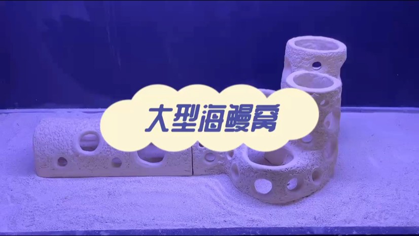 海鰻窩，海缸造景，珊瑚缸造景
