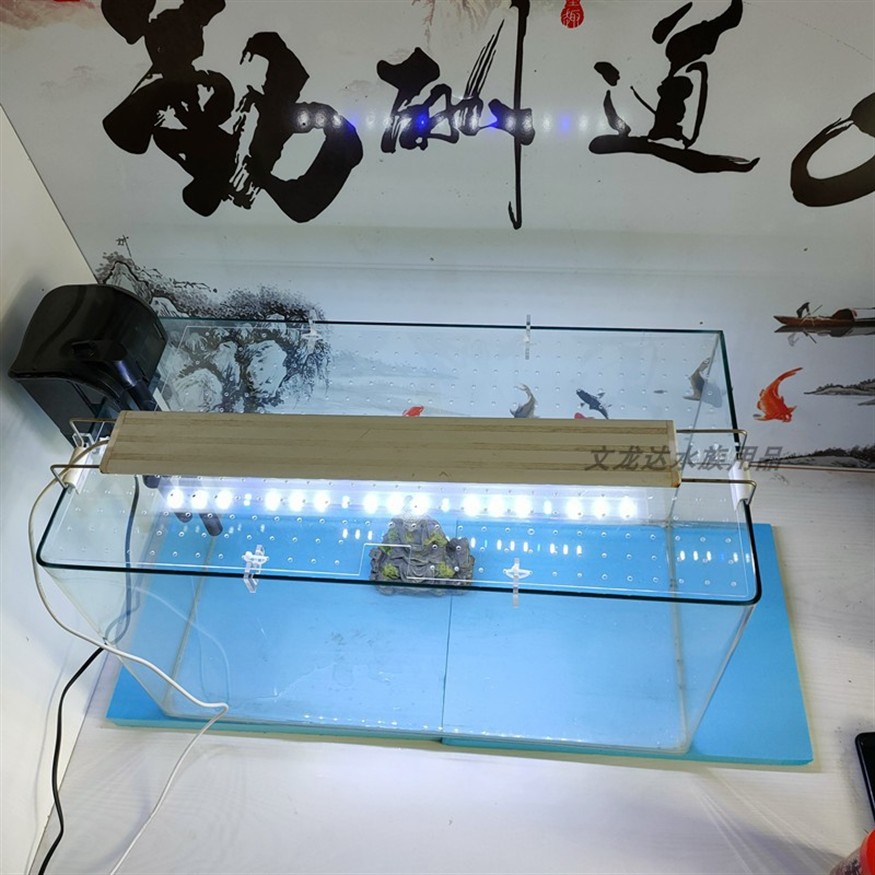 林口縣林口鎮(zhèn)好多魚水族館