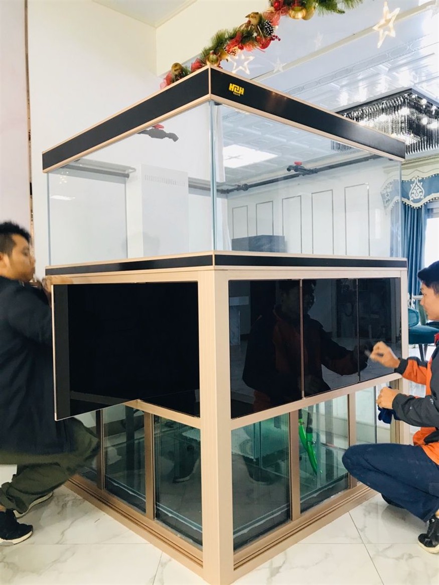 新余水族館方型海水缸系統兩條式過濾·