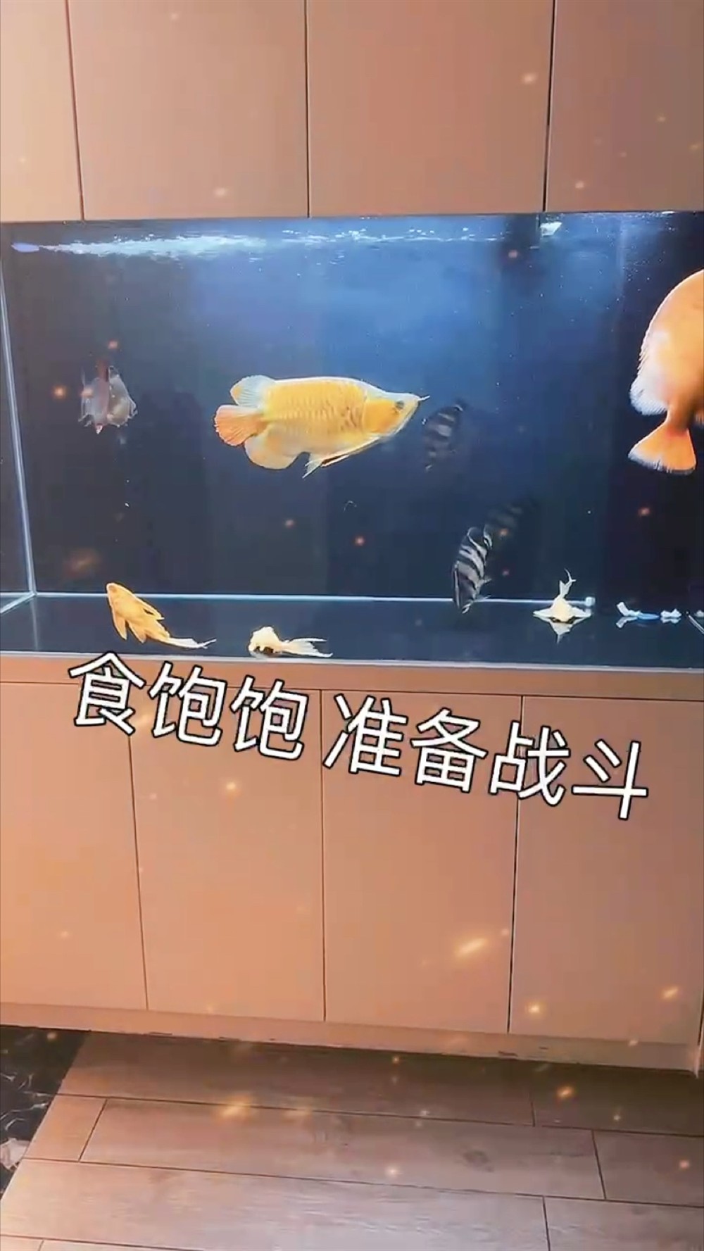 喝酒看魚(yú)聞花聽(tīng)曲