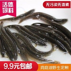 龍魚餌料排名榜最新