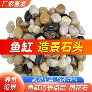白色石子可以放魚缸嗎視頻：白色石子可以放魚缸嗎