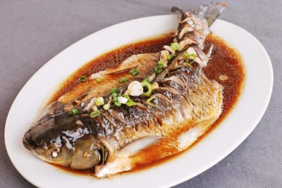 金龍魚最佳食物搭配