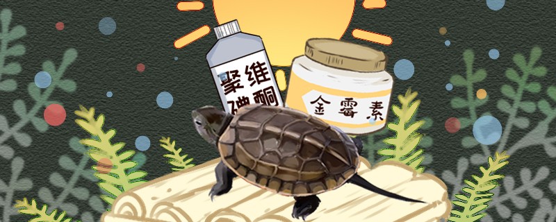 草龜腐皮原因是什么怎么治療好