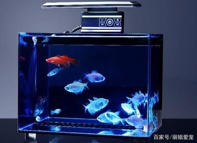 大自然魚缸是品牌的嗎怎么樣：奇溢自然魚缸、屏風(fēng)魚缸、屏風(fēng)魚缸、屏風(fēng)魚缸、屏風(fēng)魚缸