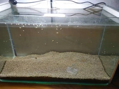 用玻璃制作魚(yú)缸圖片（用玻璃制作魚(yú)缸圖片大全）
