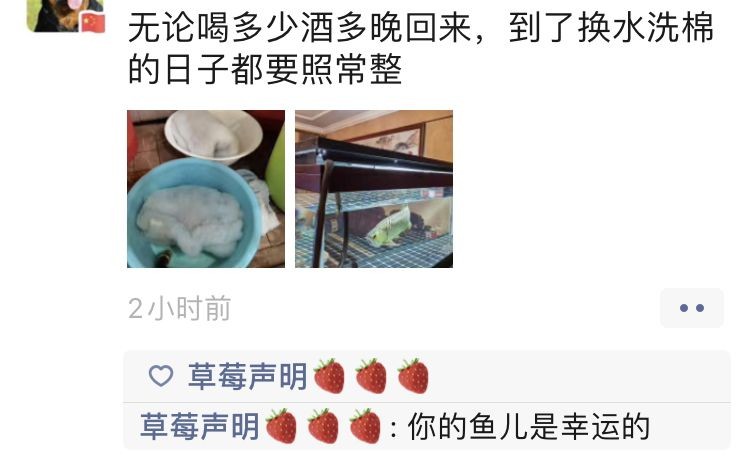 為什么回來再晚都要喂魚？