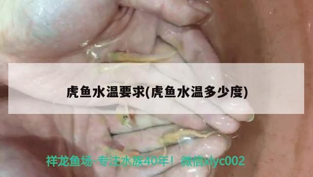 虎魚水溫要求(虎魚水溫多少度)
