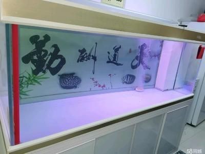 徹底清洗魚缸重新開缸視頻：魚缸清洗和重新開缸的一些基本步驟和注意事項(xiàng)