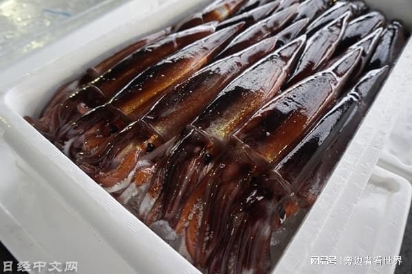 鐵東區金都水族店（鐵東區金都水族店地址）