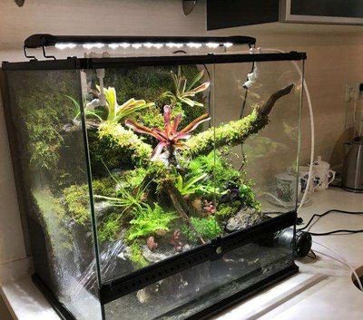 定做魚缸和成品魚缸哪個好用：定做魚缸和成品魚缸各有優缺點