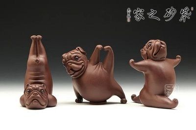 茶寵能不能放魚缸里：茶寵是否能放魚缸里，茶寵能否放魚缸里取決于多個因素