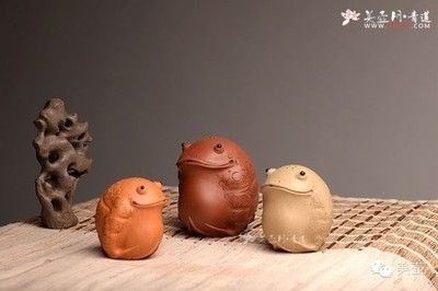 茶寵能不能放魚缸里：茶寵是否能放魚缸里，茶寵能否放魚缸里取決于多個因素