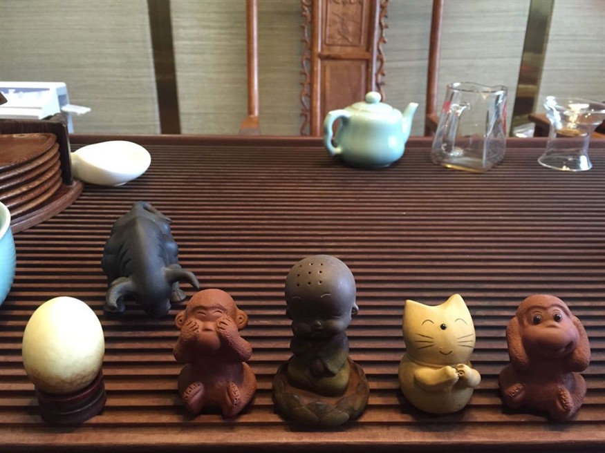 茶寵能不能放魚缸里：茶寵是否能放魚缸里，茶寵能否放魚缸里取決于多個因素