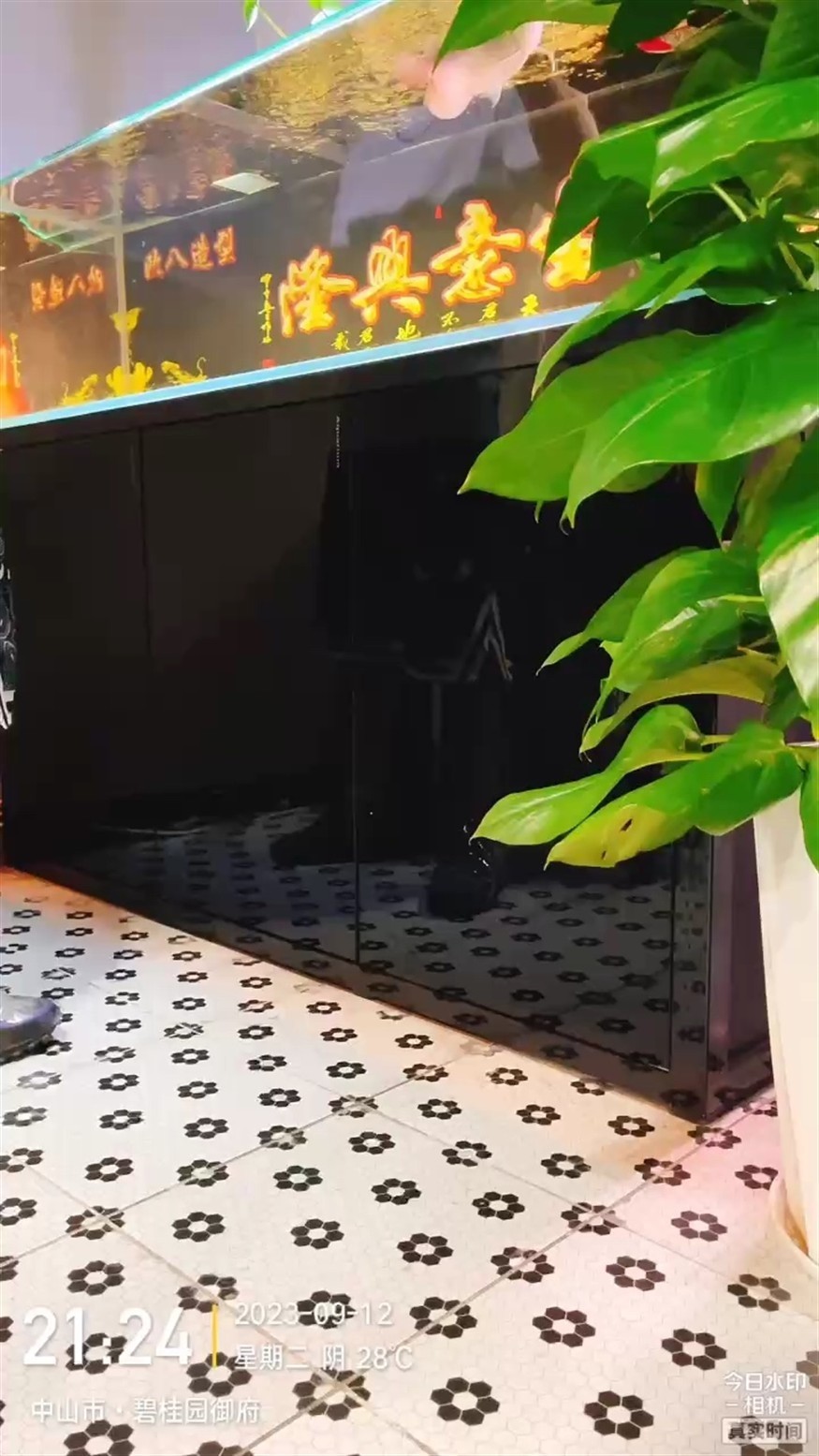 為了吃個蛙太難了[ciya]
狀態終于回來了??