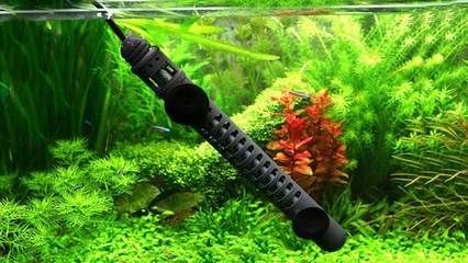 大型魚缸加熱棒怎么用：大型魚缸加熱棒的使用方法
