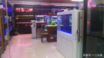藍田縣四海漁具店（藍田縣四海漁具店電話號碼）