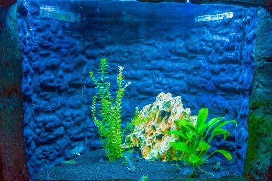 廣州西換陶瓷有限公司（廣州西換陶瓷有限公司專注于生產高質量陶瓷產品的公司）