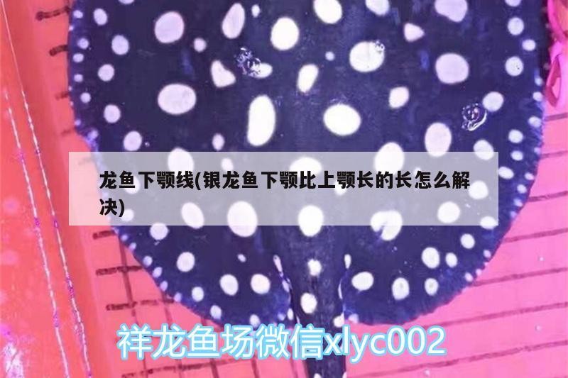 龍魚下顎線(銀龍魚下顎比上顎長的長怎么解決)