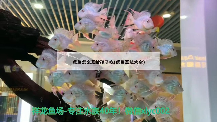 虎魚怎么煮給孩子吃(虎魚煮法大全)