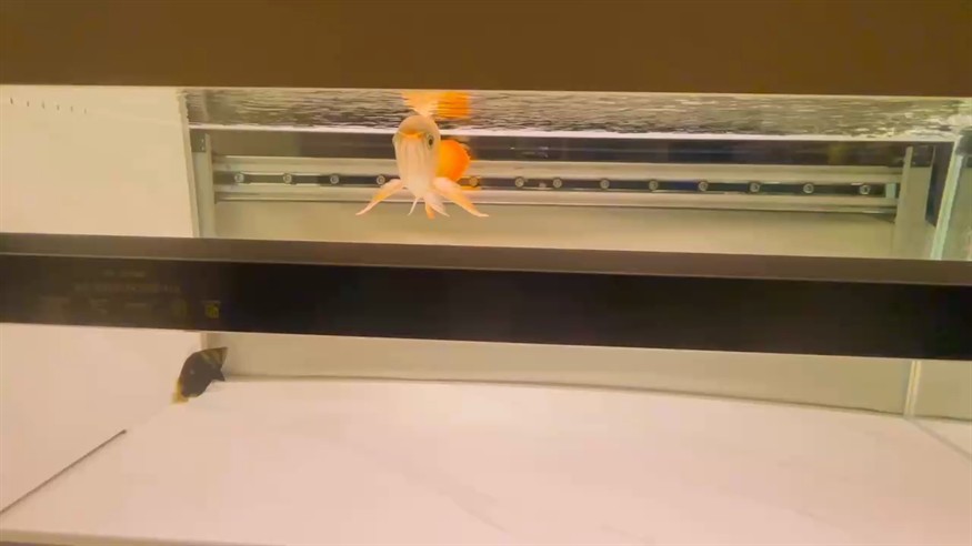 夏天走了