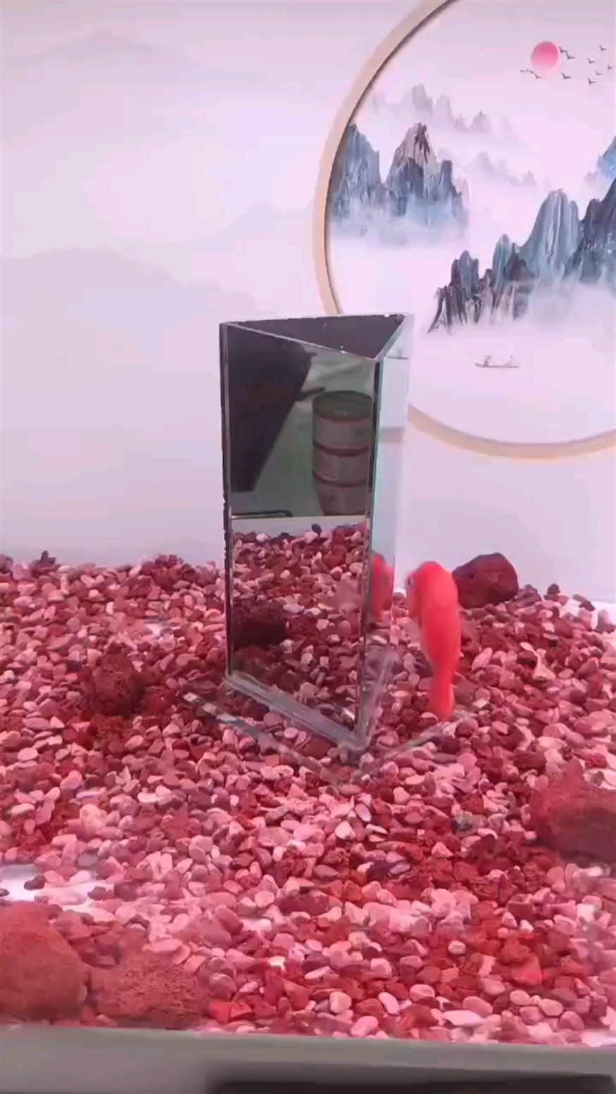 第四天