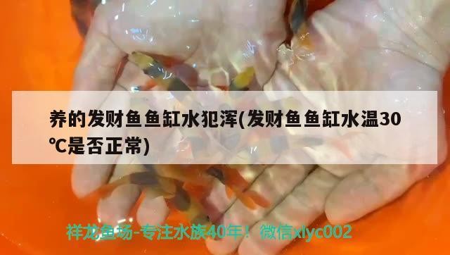 <strong><mark>北海</mark></strong>魚缸定做廠家（您的城市有“母親河”嗎）