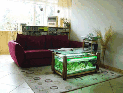 半圓型魚(yú)缸風(fēng)水魚(yú)缸擺放位置：魚(yú)缸五行屬鼠、豬的人魚(yú)缸忌擺在坐南向北方位