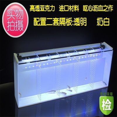 斗魚魚缸隔板用什么顏色好：斗魚魚缸隔板的顏色怎么選擇