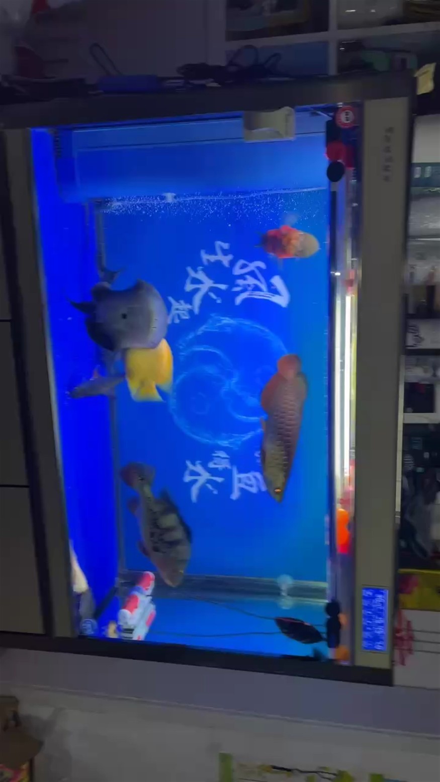 解壓時刻