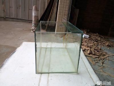 玻璃水可以洗魚缸里面嗎：玻璃水清洗魚缸的注意事項(xiàng)