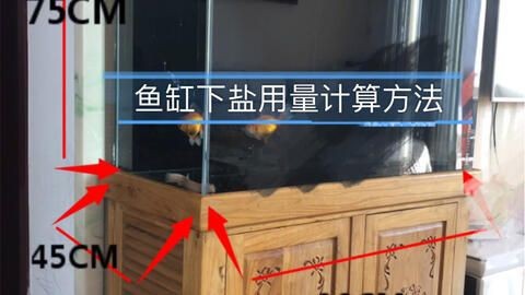 1.2 米魚(yú)缸要下多少鹽：1.2米魚(yú)缸下鹽的量通常為兩斤（約900克）
