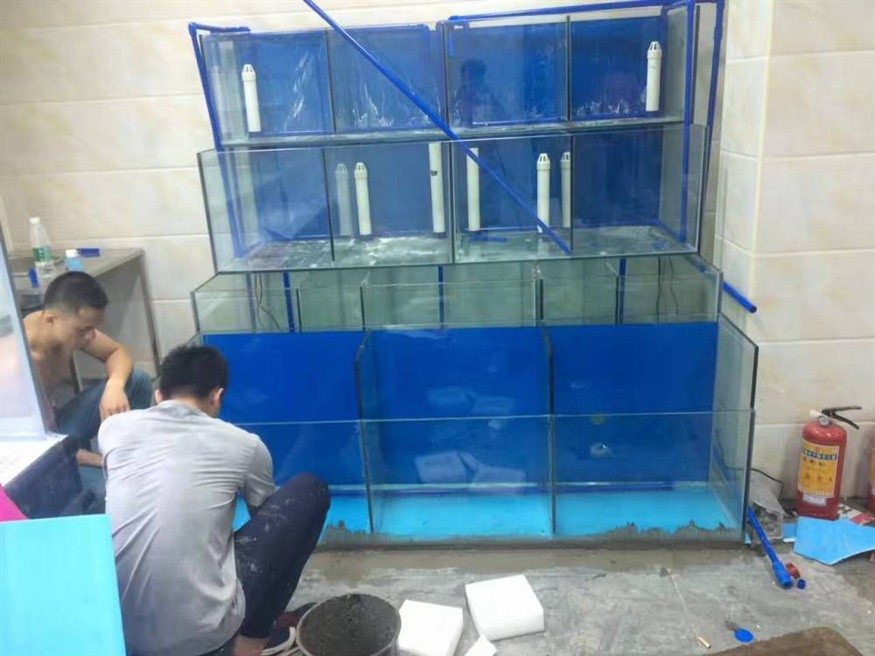 大型魚缸漏水怎么辦：大型魚缸漏水的修復方法和注意事項和注意事項