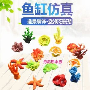 redsea魚缸：redsea魚缸的養殖技巧紅海魚缸養殖技巧