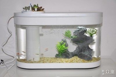不透明魚缸：不透明的魚缸可以選擇適當的材料和處理方法和維護