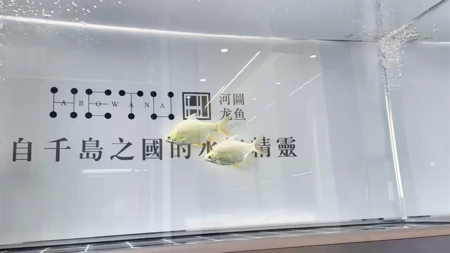 試水成功