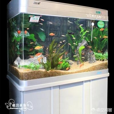 煙臺市芝罘鄉村愛情水族館（煙臺市芝罘鄉村愛情水族館在哪）