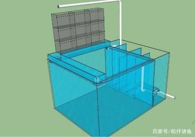 側濾魚缸改上濾：側濾魚缸改上濾的基本步驟和注意事項