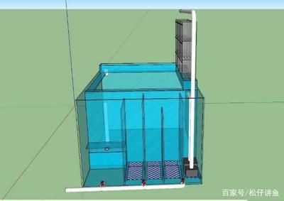 側濾魚缸改上濾：側濾魚缸改上濾的基本步驟和注意事項