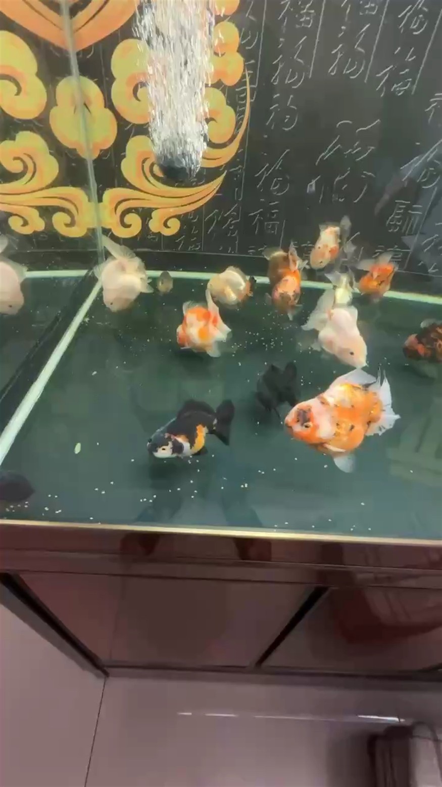 狀態(tài)起飛，使勁催