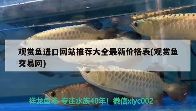 銀龍魚下崽(銀龍魚幼魚)